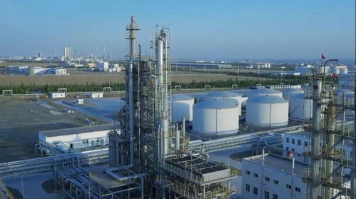 砥礪奮進五年間 奎屯獨山子經濟技術開發區喜獲兩項國家級殊榮